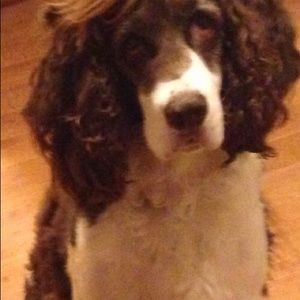 Meet your Posher, Abi